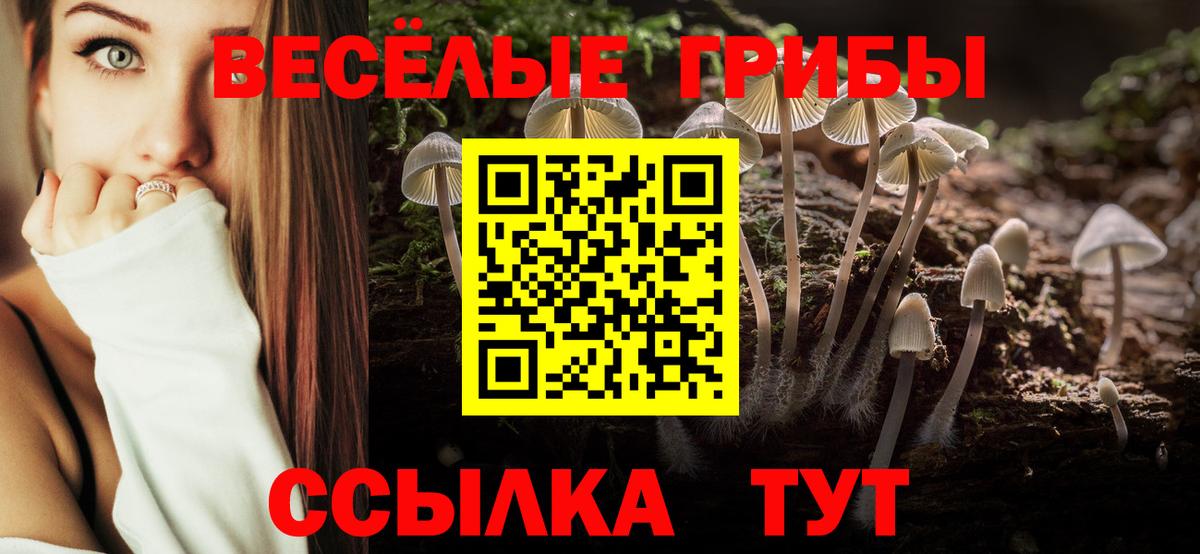 где найти наркотики  Галлюциногенные грибы Psilocybine cubensis  Вход с VPN  Галлюциногенные грибы MAGIC MUSHROOMS  Горно-Алтайск 